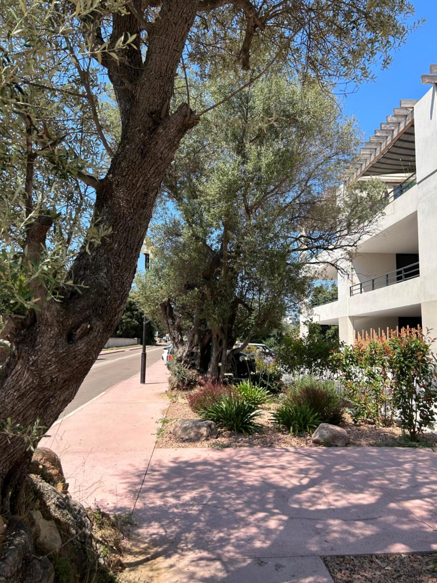 Sognu Di Serena - Superbe Appartement Avec Parking Gratuit Sur Place Porto-Vecchio  Eksteriør bilde